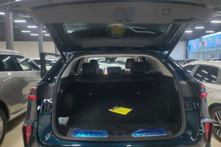 Used Wey Mocha New Energy 2024 Hi4 Four-Wheel Drive Long-Range Version
