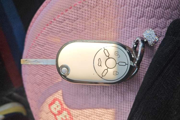 Used Bestune Pony 2025 222km Range Agile Horse