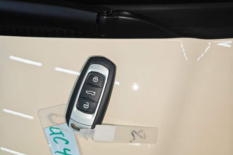 Used  Panda 2025 210 km – Yuanqi Bear
