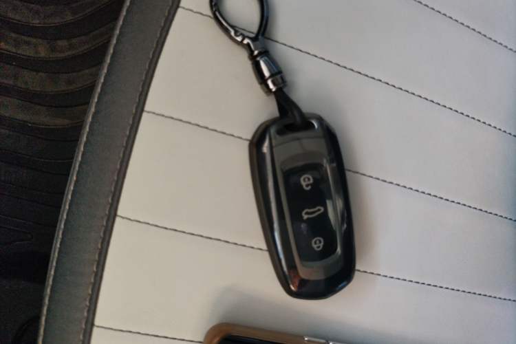 Used  Panda 2025 210km Panda Kart