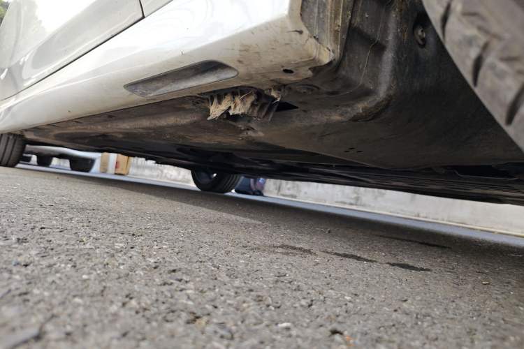 Used BMW 3 Series 2024 325Li M Sport Package
