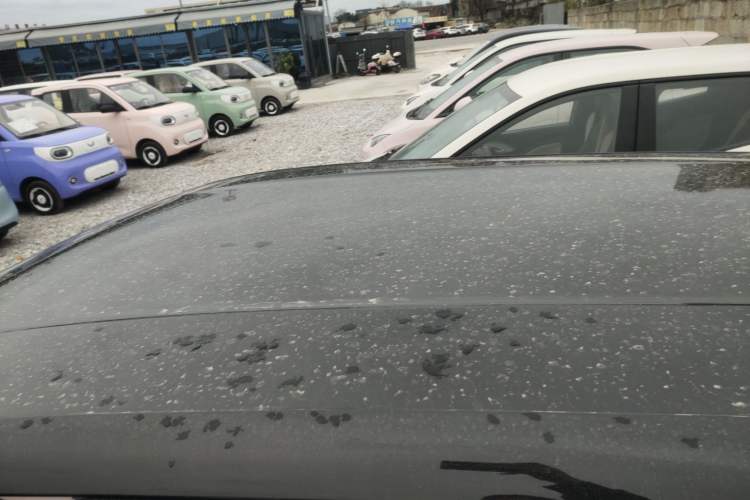 Used BYD Seagull 2024 Honor Edition 305km Freedom Version
