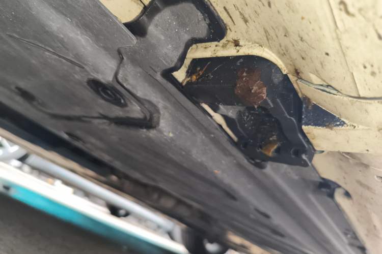 Used Mercedes-Benz C-Class 2020 Restyled C 200 L Fashion Edition Sport Version
