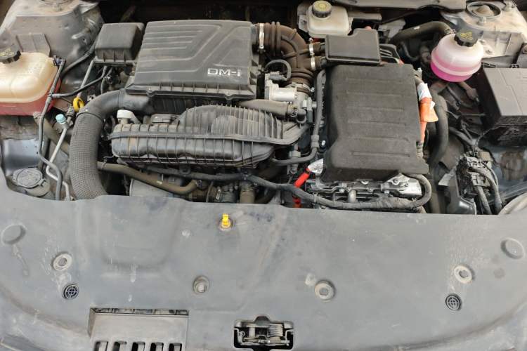 Used BYD Qin PLUS 2023 Champion Edition DM-i 55KM Leading Model
