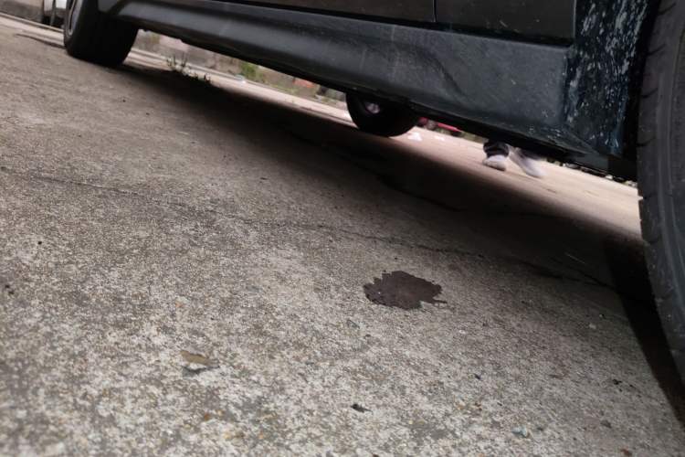 Used Changan Eado 2025 Blue Whale 1.5T 500Bar Prestige Model
