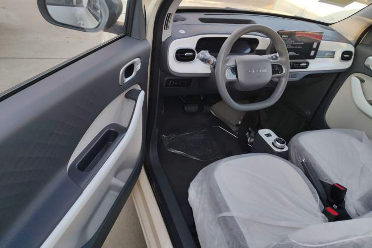 Used  Panda 2025 210 km – Yuanqi Bear
