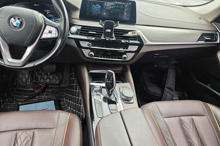 Used BMW 5 Series New Energy 2020 530Le Luxury Package
