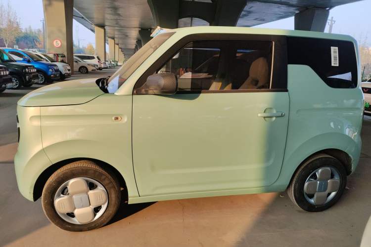 Used  Panda 2023 Panda Mini 200km Endurance Bear
