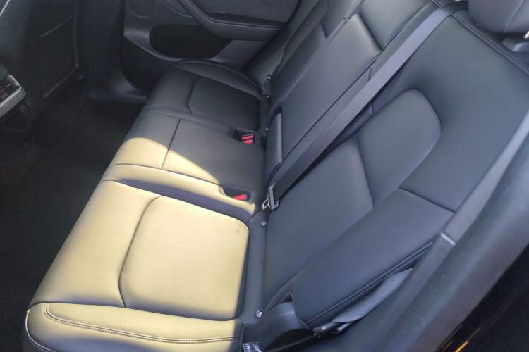 Used Tesla Model Y 2021 Standard Range Rear-Wheel Drive Version
