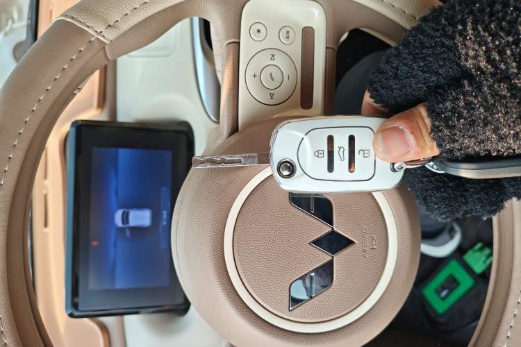 Used Wuling Hongguang MINIEV 2025 Four-Door Version Advanced Edition
