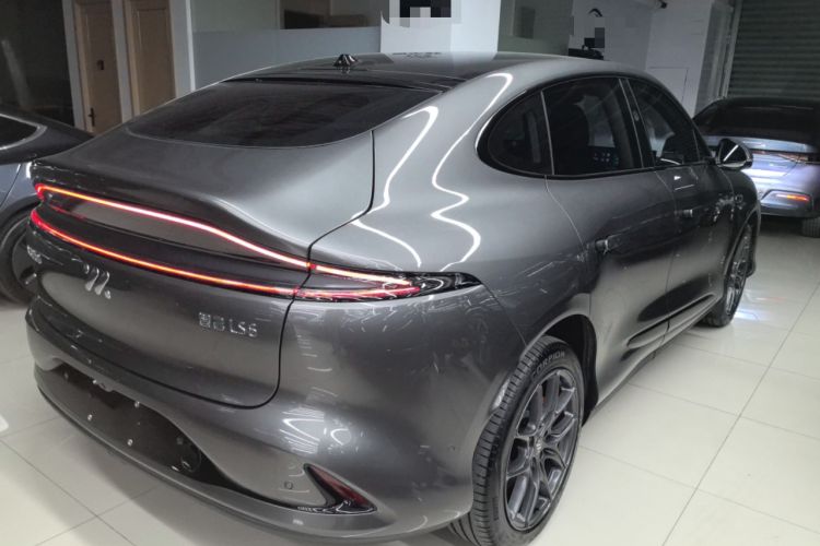 Used  LS6 2023 Max Long-Range Version
