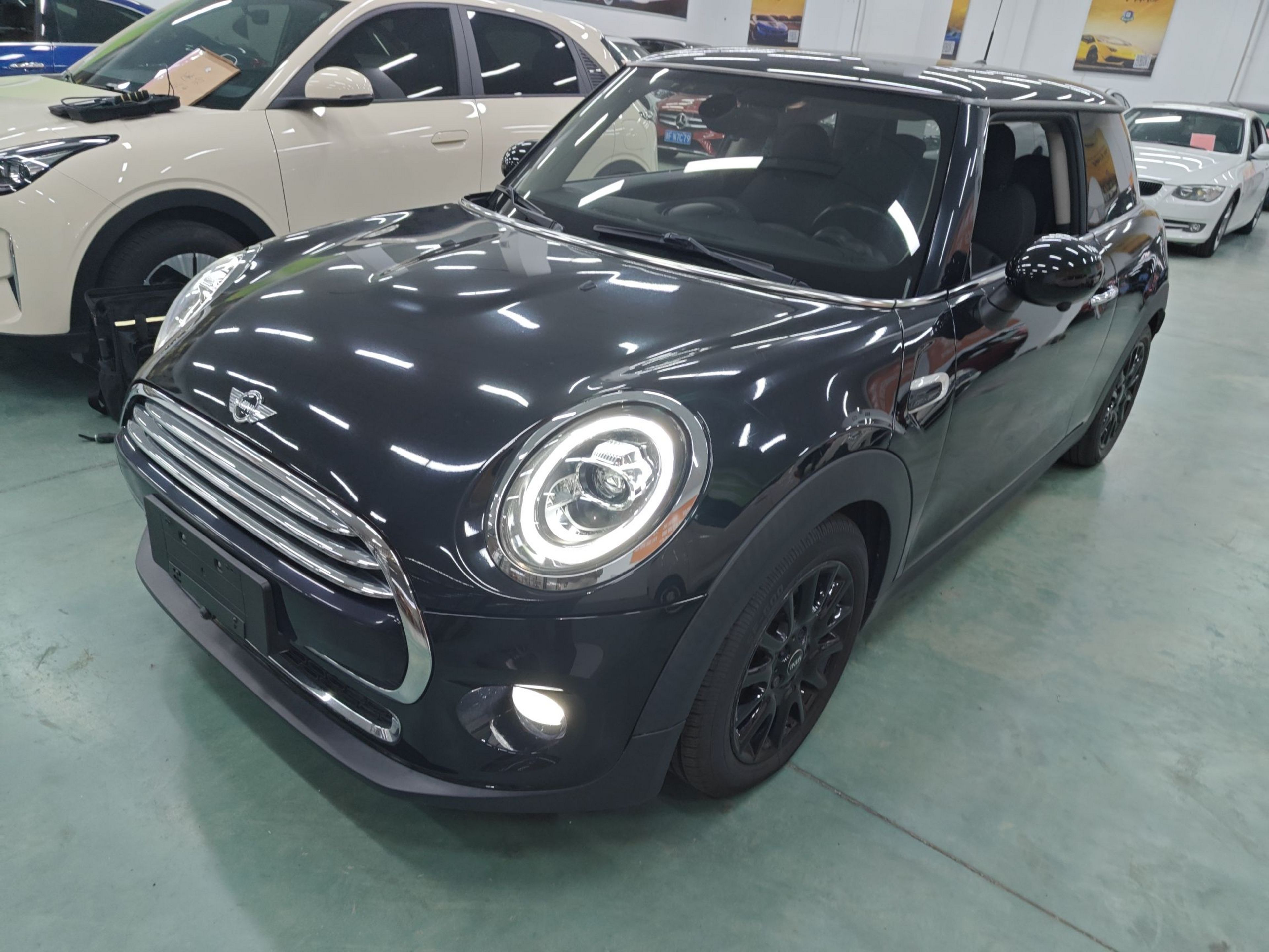 تحت مقدمة السيارة