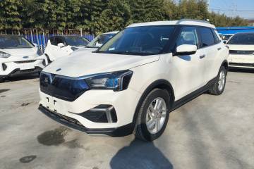 Used Venucia T60EV 2020 AI Enjoyment Model