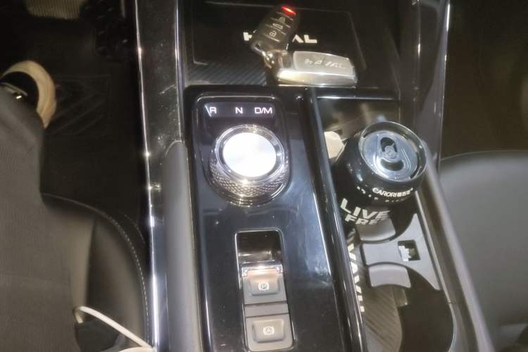 Used Haval H6 2021 3rd Generation 2.0T Automatic Two-Wheel Drive Max
