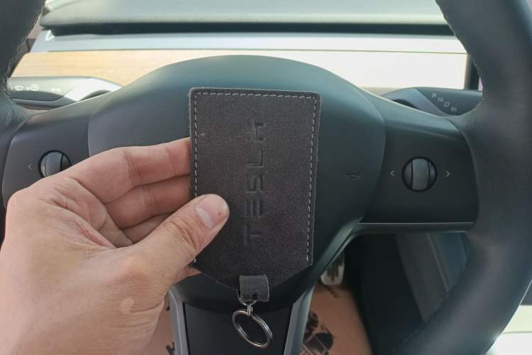 Used Tesla Model Y 2021 Standard Range Rear-Wheel Drive Version
