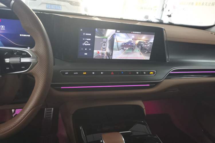 Used Hongqi H9 2024 2.0T Qichang Private Enjoyment Luxury Edition
