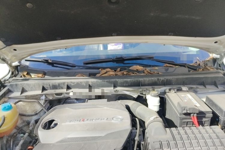 Used GAC Trumpchi GS8 2017 320T Two-Wheel Drive Prestige Version (7 Seats)
