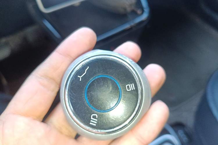 Used NETA V 2021 Standard Range Entertainment Edition