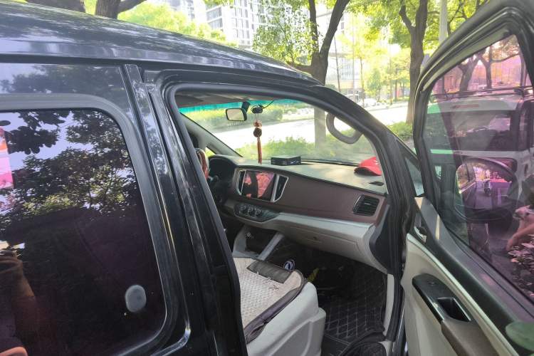 Used FORTHING Lingzhi 2019 M5L 1.6L 7-Seater Exclusive Model China VI Standard
