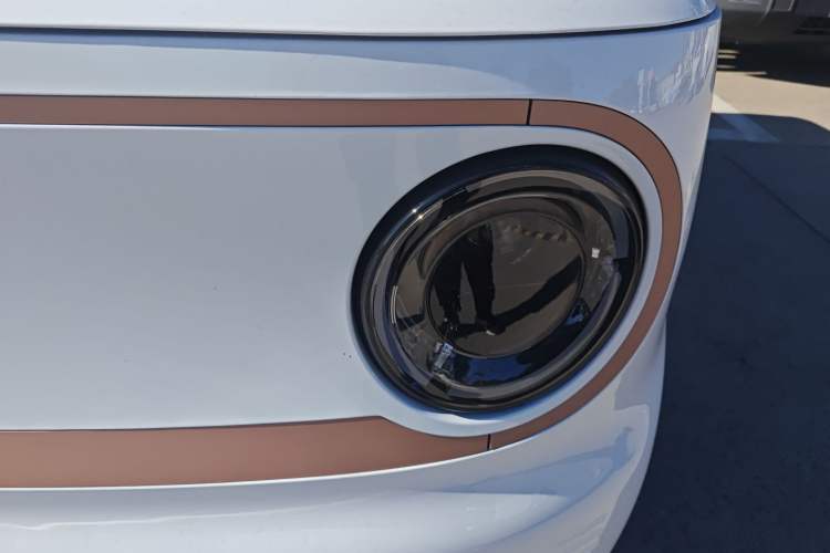 Used  Panda 2024 Panda Mini 200km Endurance Bear
