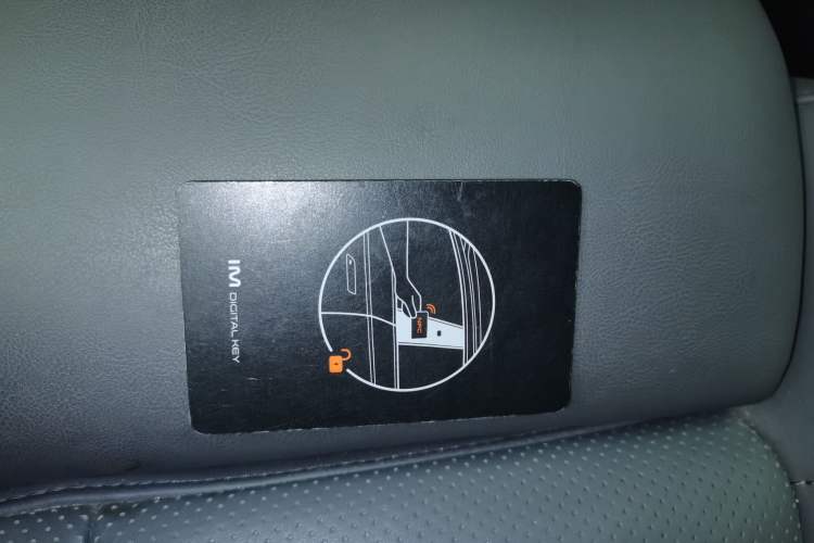 Used  LS6 2023 Max Long-Range Version
