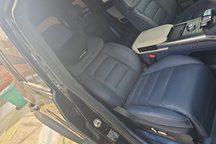 Used  Shanhai T2 2024 C-DM 208KM Mountain & Wilderness Edition
