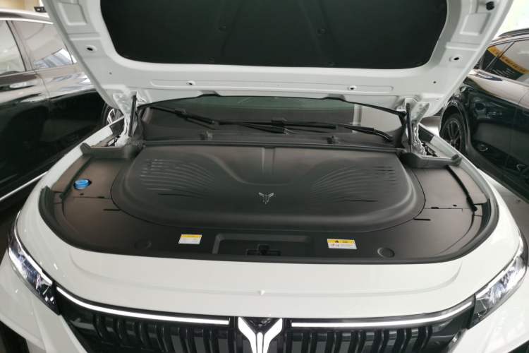 Used VOYAH FREE 2025 318 318 km Rear-Drive Touring Edition
