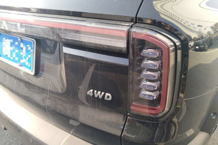 Used Haval DARGO 2024 2.0T DCT Chinese Rural Dog Edition
