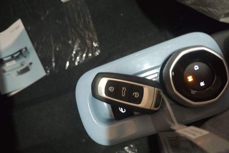 Used  Panda 2024 Panda Mini 200km Endurance Bear