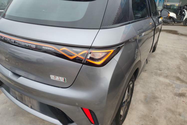 Used BYD Dolphin 2021 405 km Free Version