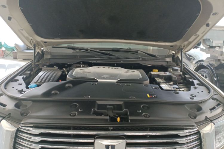 Used Tank 500 2022 3.0T Business Edition "Creation Realm" Design 5-Seater
