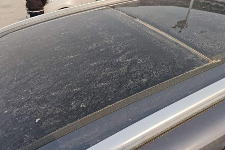 Used BYD Tang New Energy 2021 DM 2.0T Four-Wheel Drive High-Performance Flagship Model