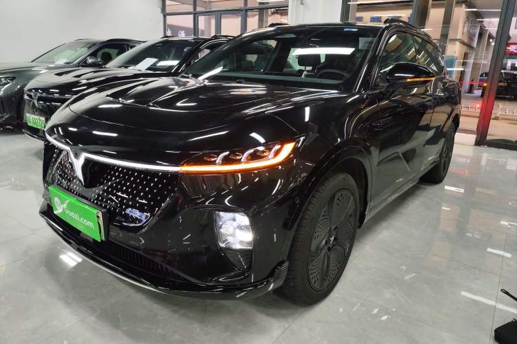 Used VOYAH COURAGE 2024 Four-Wheel Drive Global Edition
