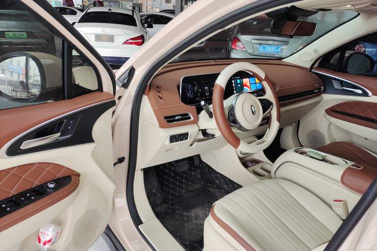 Used ORA Good Cat 2023 401 km Standard Range Luxury Version Lithium Iron Phosphate
