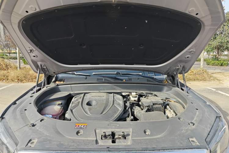 Used Geely Auto Monjaro L 2021 2.0TD DCT EVO Two-Wheel Drive Prestige Version
