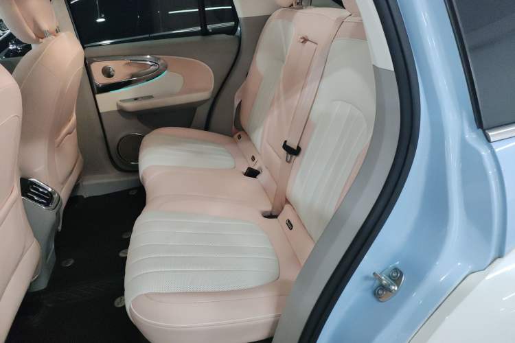 Used ORA Ballet Cat 2022 500 km Swan Lake Edition