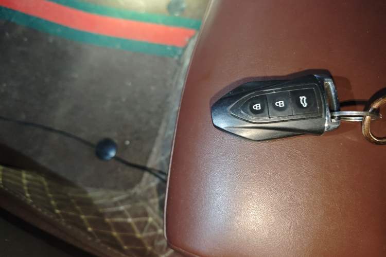 Used Leopaard Mattu 2018 1.6T GDI DCT Luxury Model
