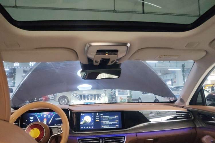 Used Hongqi H9 2020 2.0T Smart Connect Flagship Edition