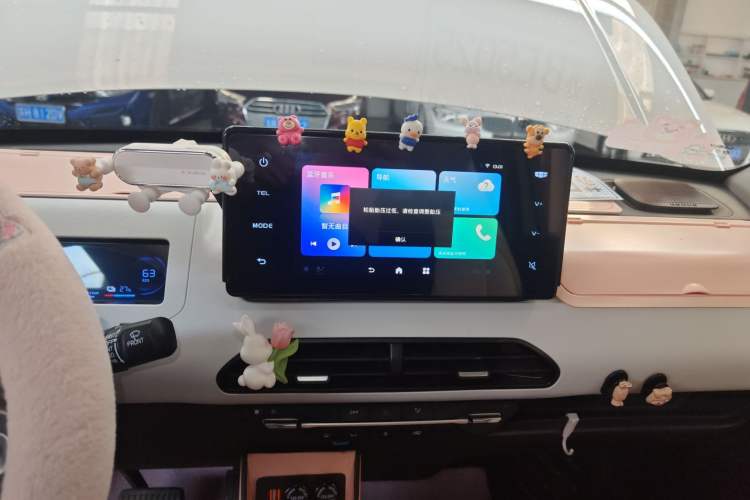 Used  Panda 2023 Panda Mini 200km Endurance Bear
