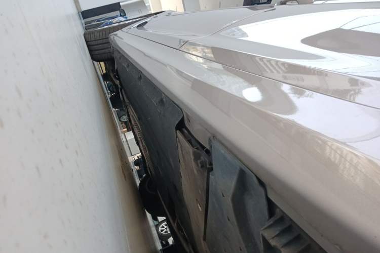 Used BMW 5 Series New Energy 2019 530Le Luxury Package