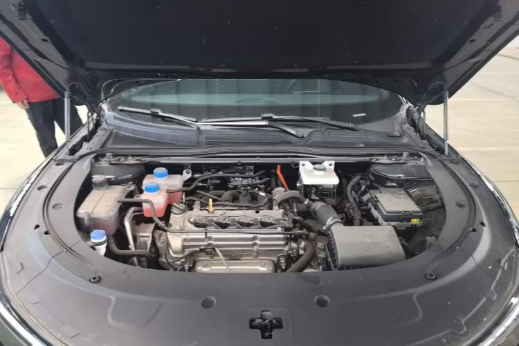 Used  A07 2025 Range-Extended "True Fragrant" Edition 230 Luxury Version
