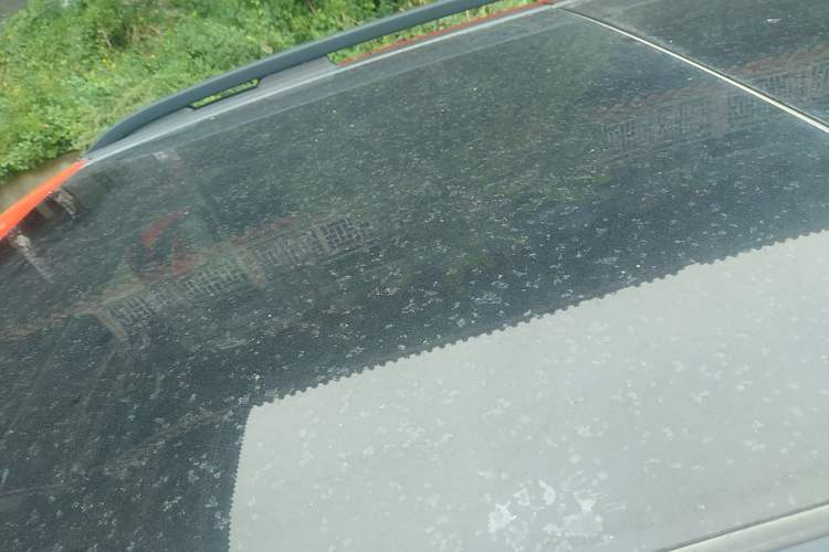 Used  Renegade 2017 180T Automatic High-Energy Version
