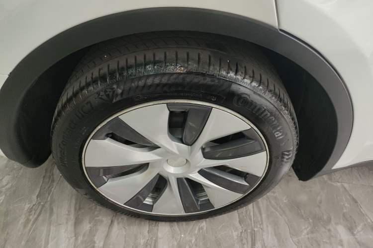 Used Tesla Model Y 2021 Standard Range Rear-Wheel Drive Version
