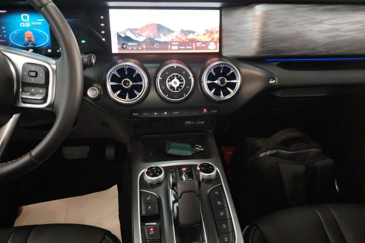 Used Tank 300 2024 2.0T Conqueror
