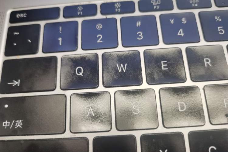 Used Audi A5 2023 Coupe 40 TFSI Fashionable and Dynamic Model
