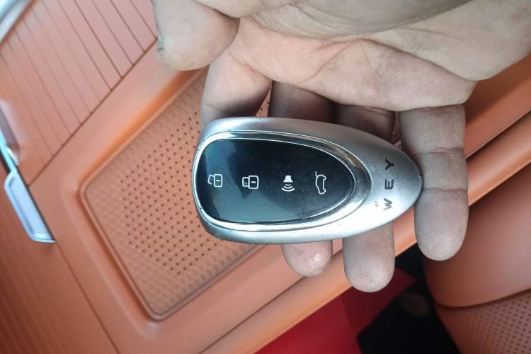 Used Wey Lanshan 2023 Four-Wheel Drive Ultra-Long Range Version
