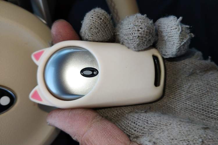 Used ORA Good Cat 2021 400km Standard Range Athena Edition Lithium Iron Phosphate