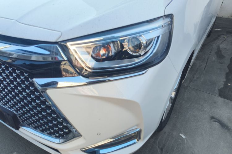 Used  L6 MAX 2022 2.0T Automatic High-Power Flagship Edition
