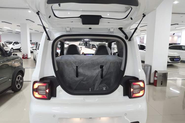 Used  Panda 2024 Panda Mini 200km Endurance Bear
