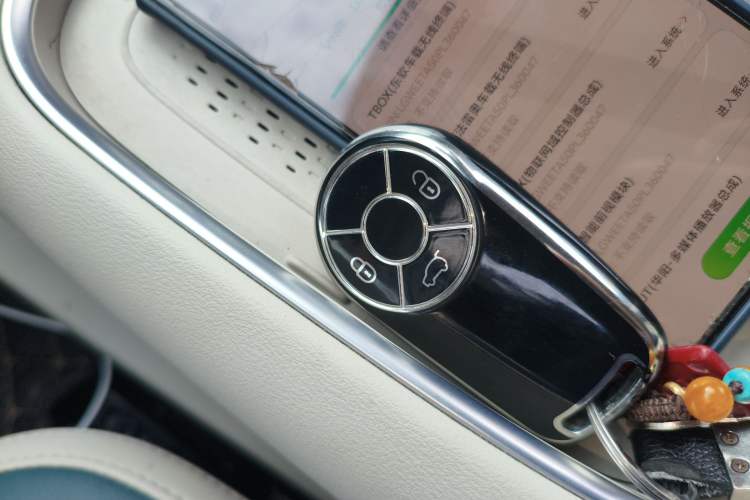 Used ORA Good Cat 2023 401 km Standard Range Premium Version Lithium Iron Phosphate
